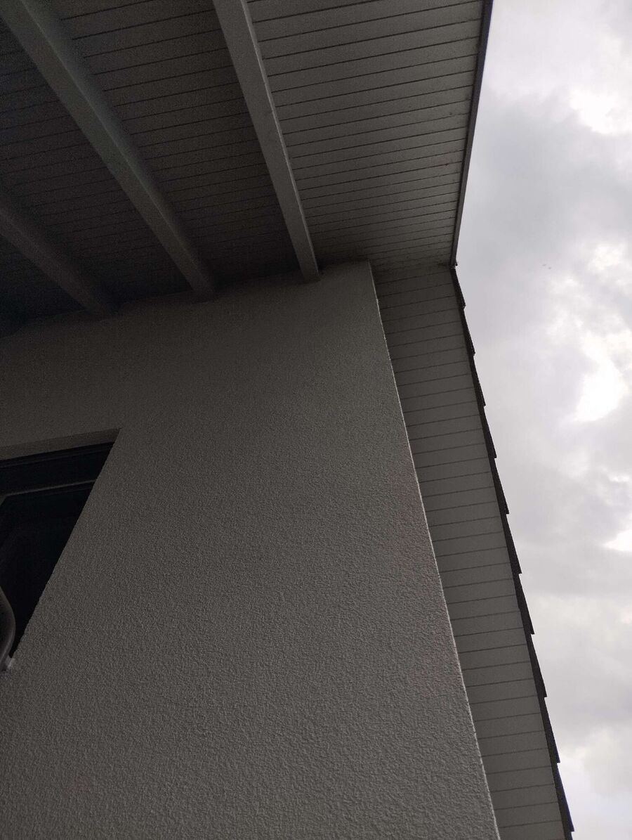 wespennest_entfernen