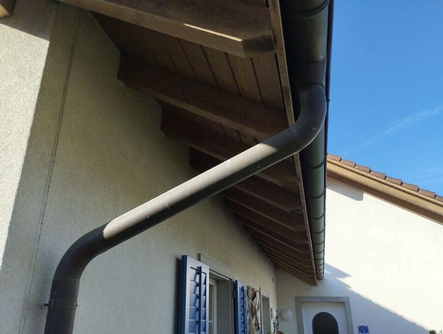 wespennest_entfernen