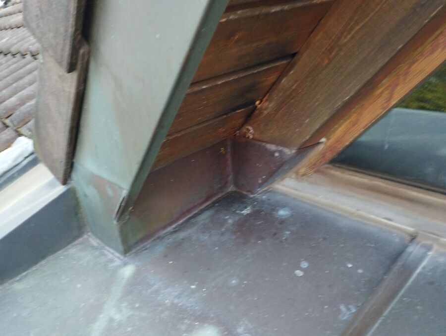 wespennest_entfernen