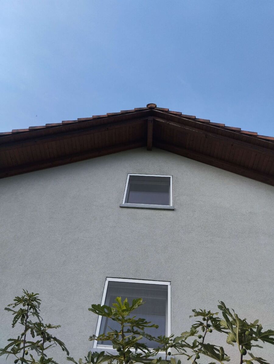 wespennest_entfernen