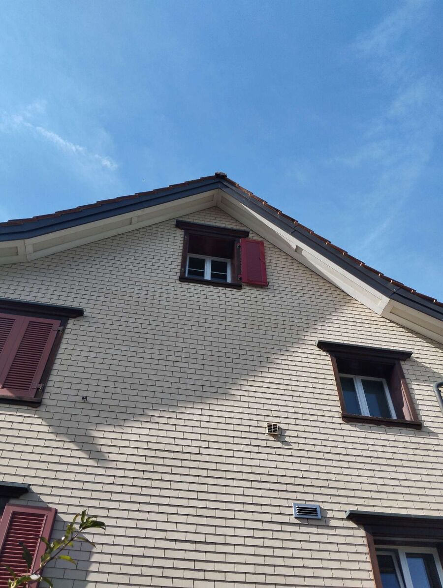 wespennest_entfernen