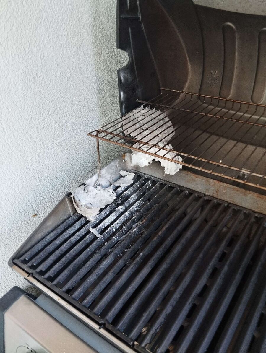 wespennest_entfernen