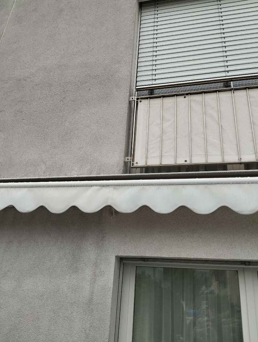 wespennest_entfernen