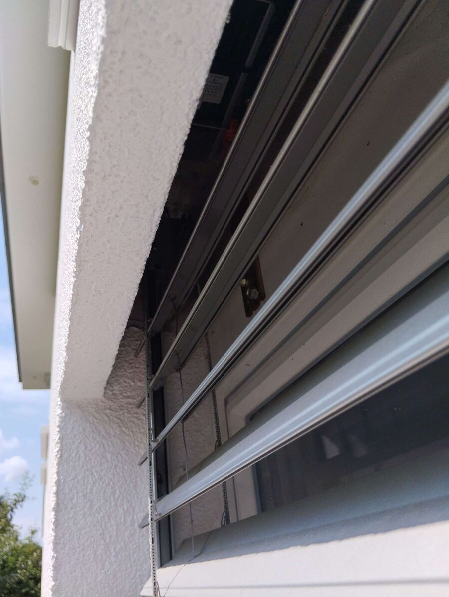 wespennest_entfernen