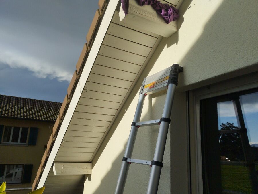 wespennest_entfernen