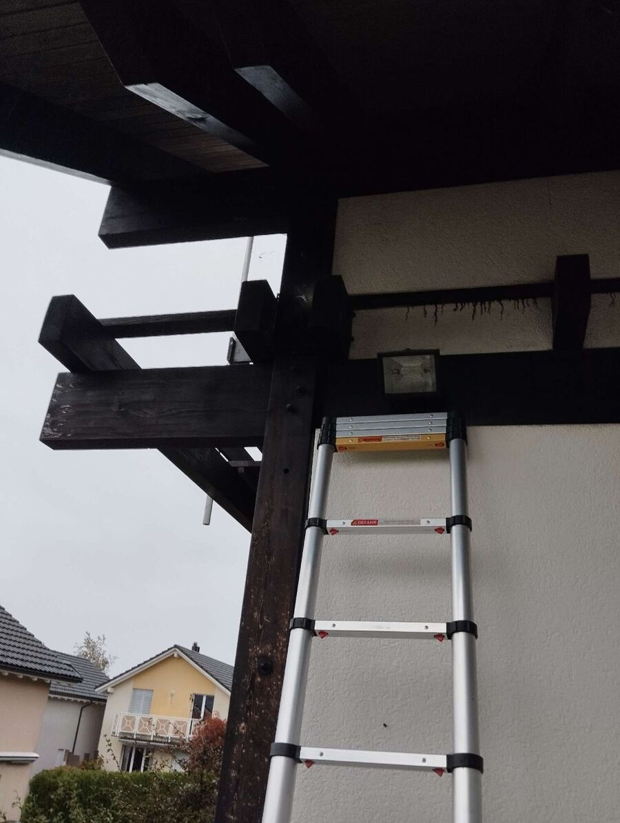 wespennest_entfernen