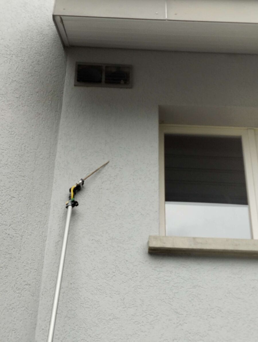 wespennest_entfernen