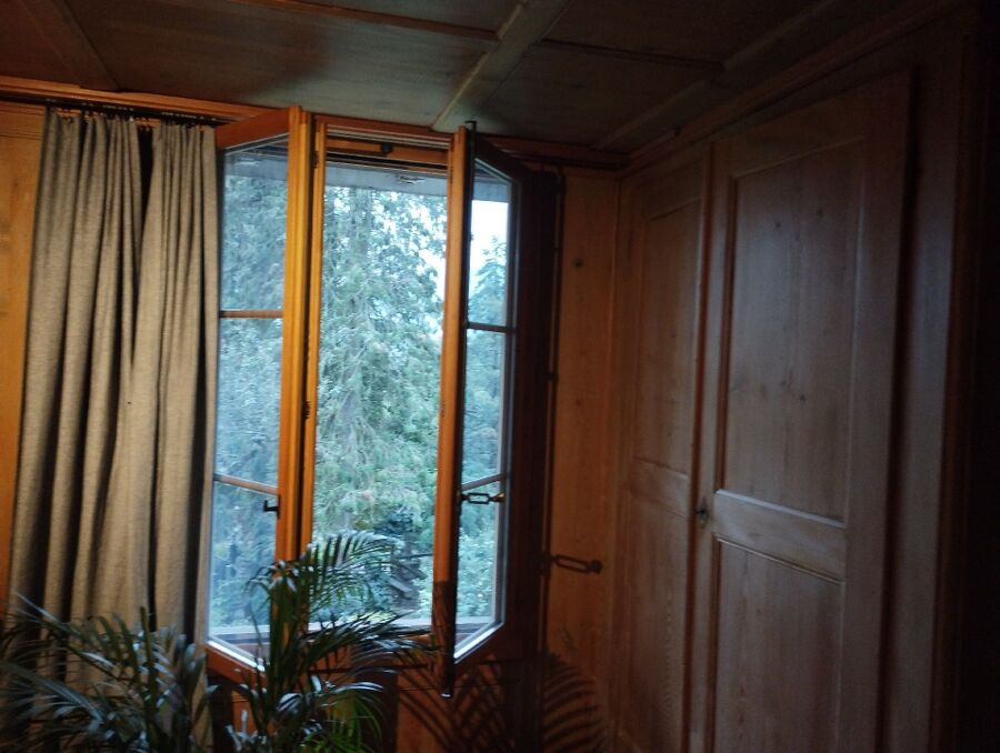 wespennest_entfernen