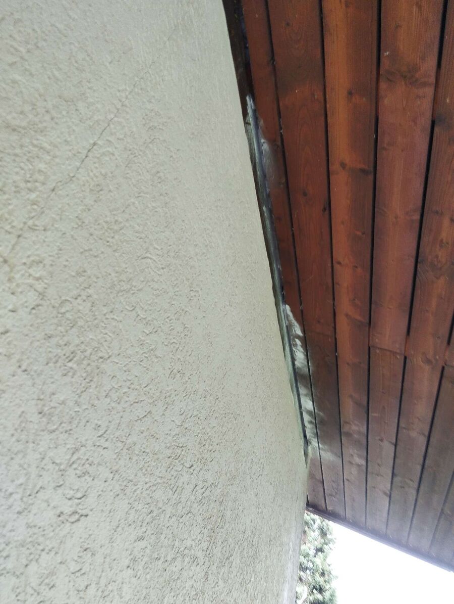 wespennest_entfernen