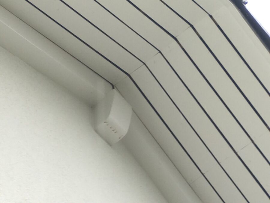 wespennest_entfernen