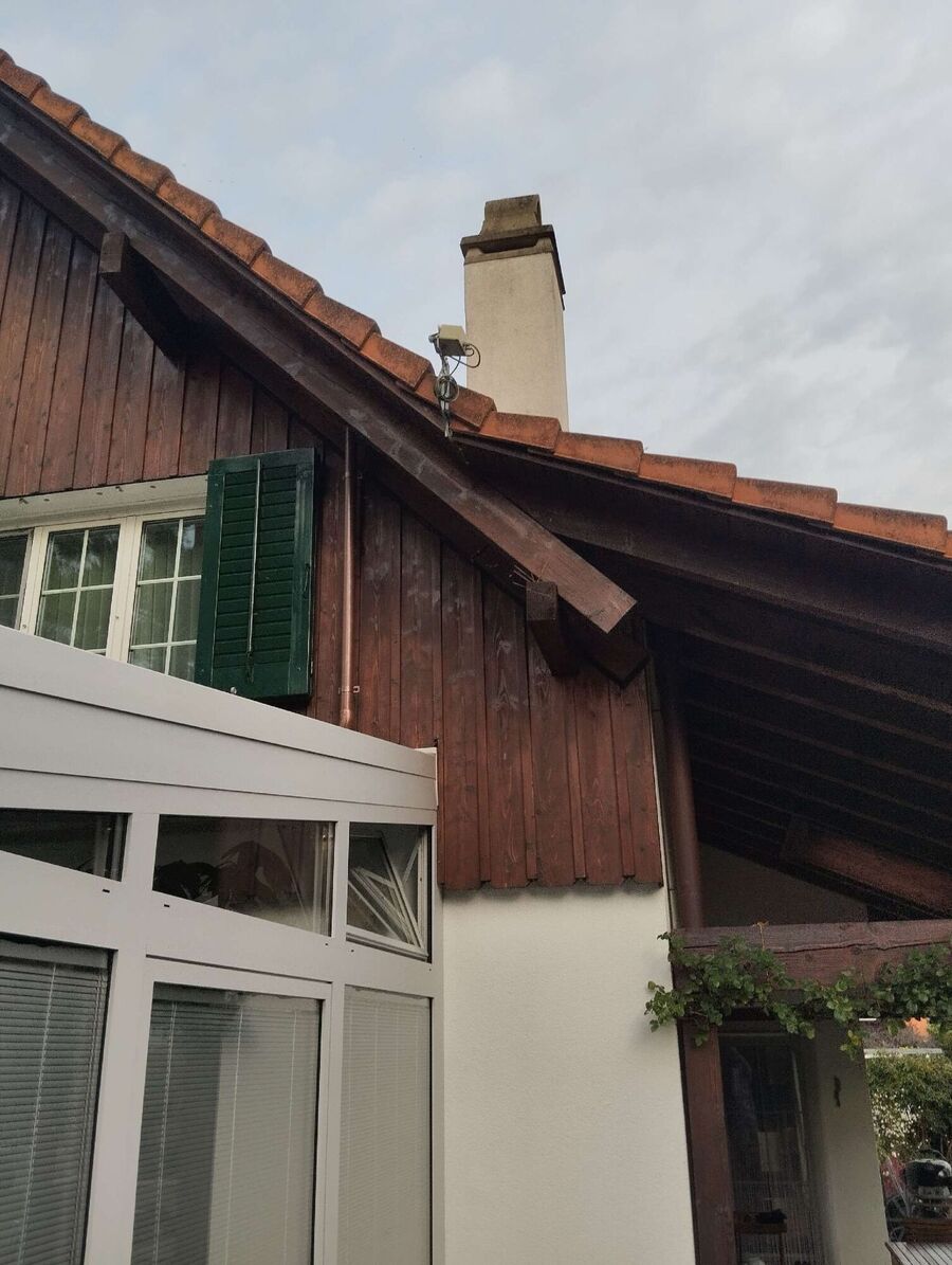 wespennest_entfernen