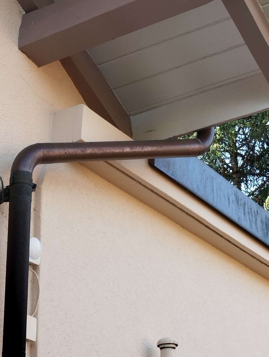 wespennest_entfernen