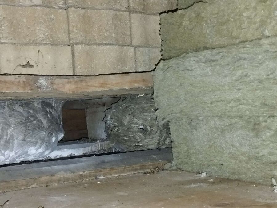 wespennest_entfernen