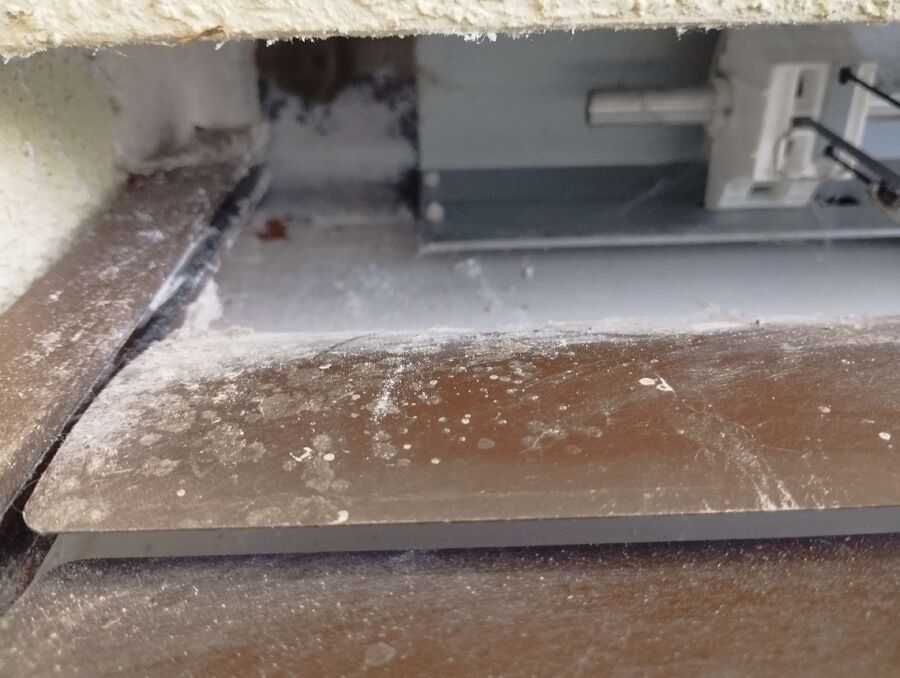 wespennest_entfernen