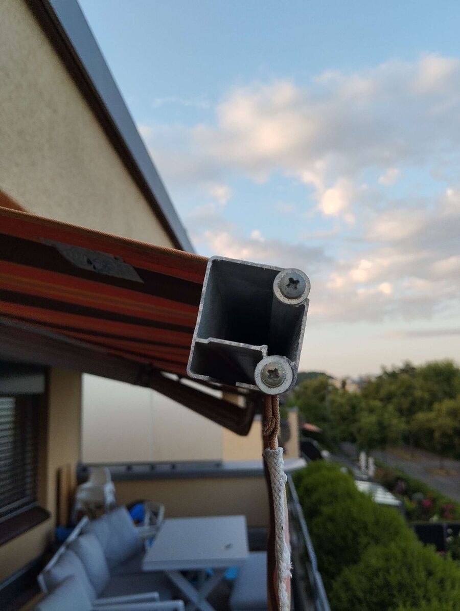 wespennest_entfernen