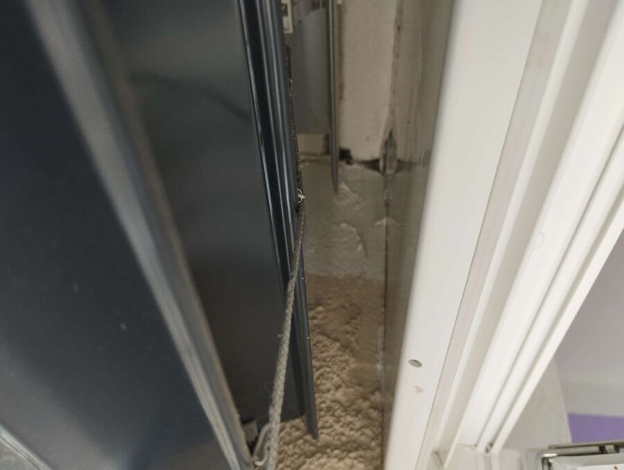 wespennest_entfernen