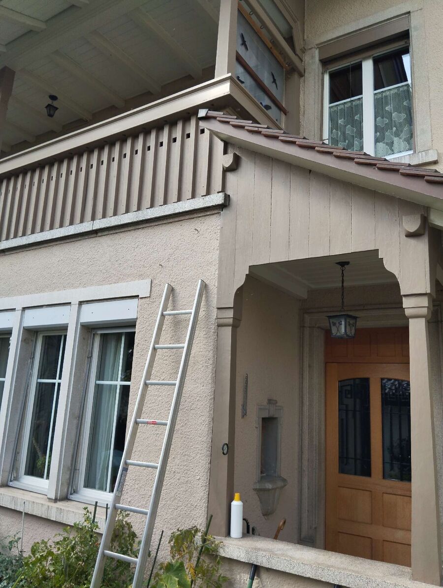 wespennest_entfernen