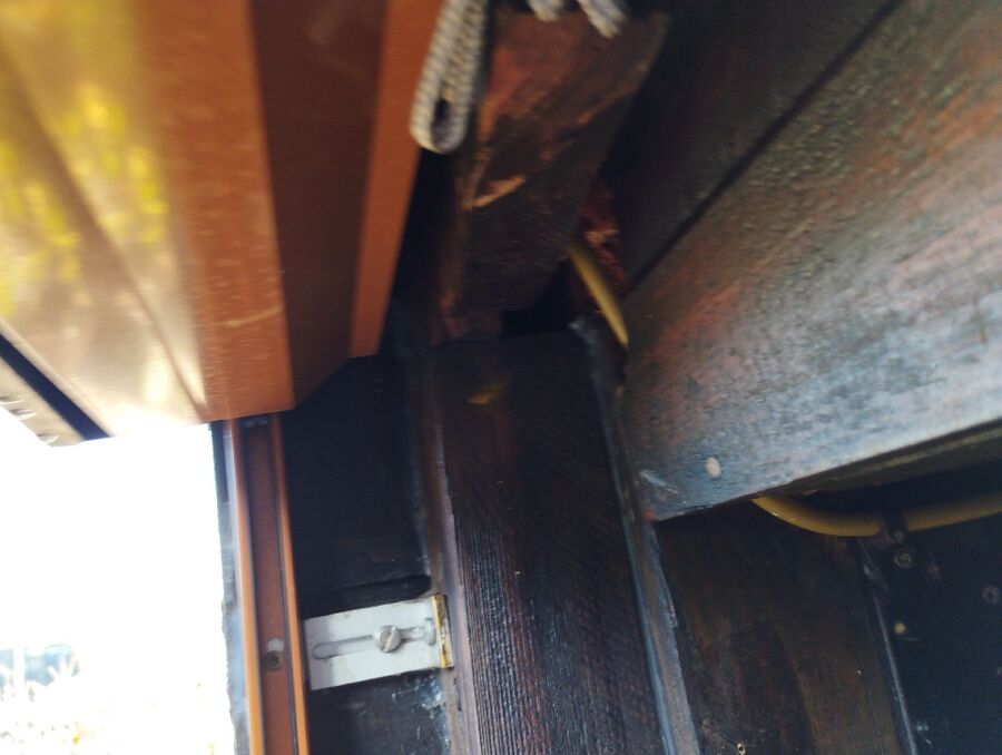 wespennest_entfernen