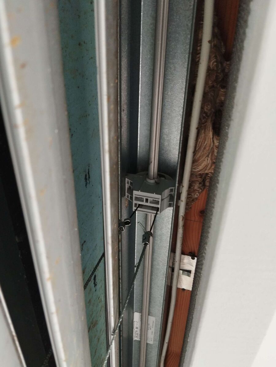 wespennest_entfernen