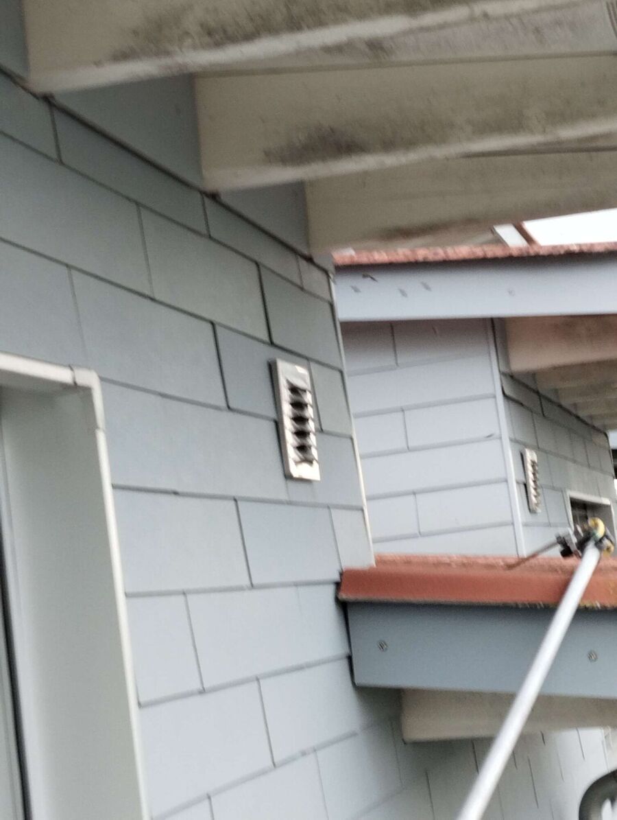 wespennest_entfernen