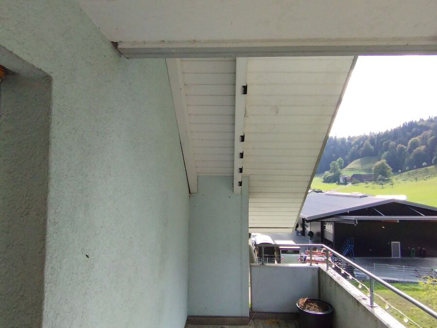 wespennest_entfernen