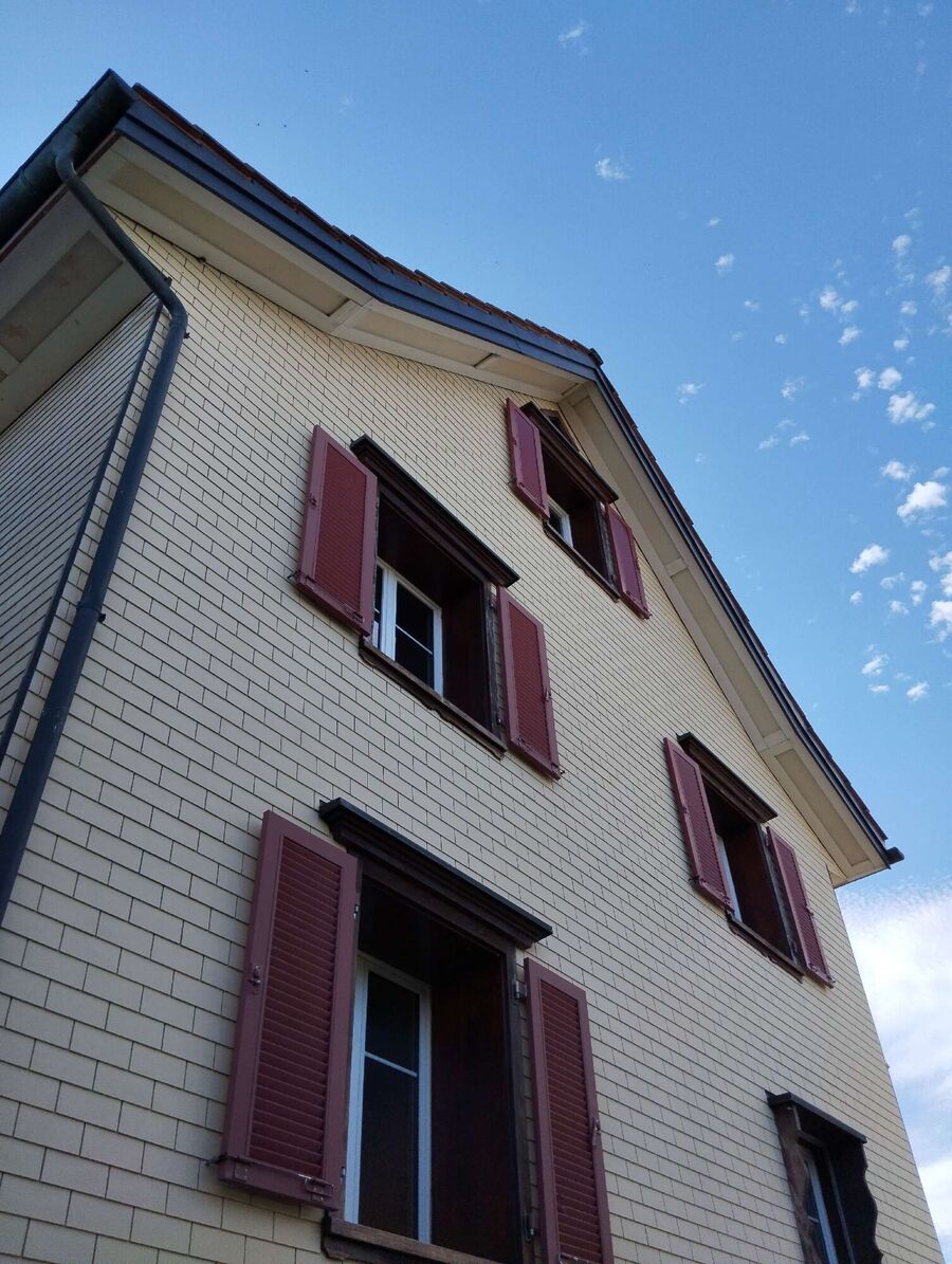 wespennest_entfernen