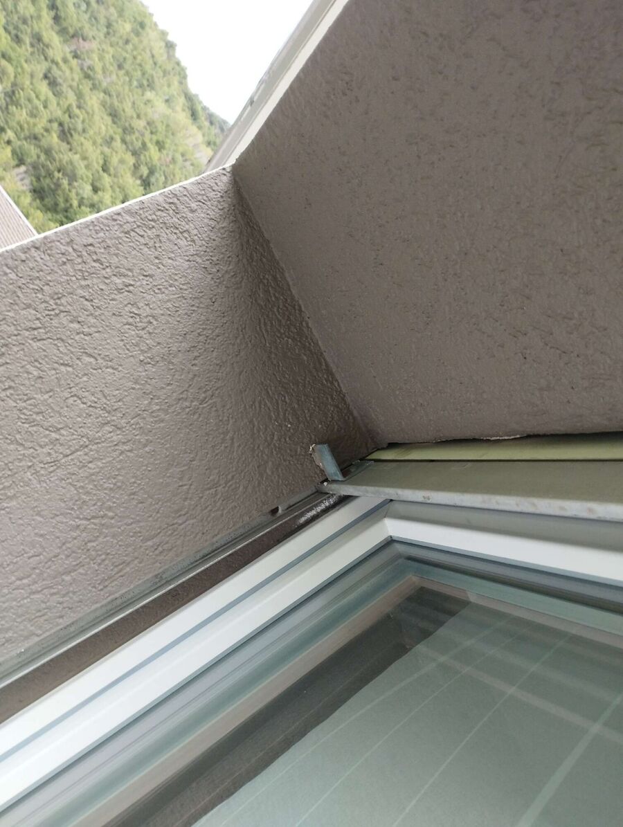 wespennest_entfernen