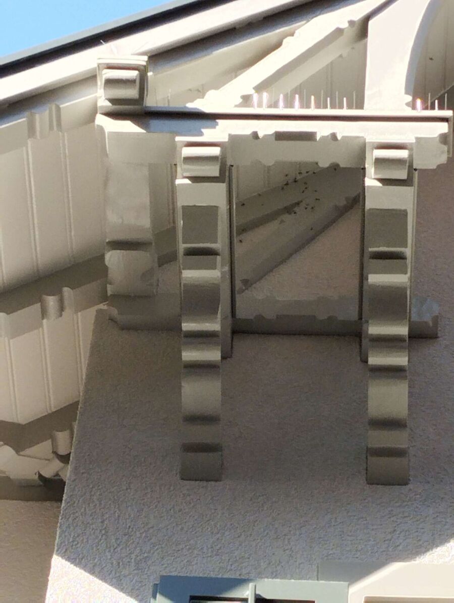 wespennest_entfernen