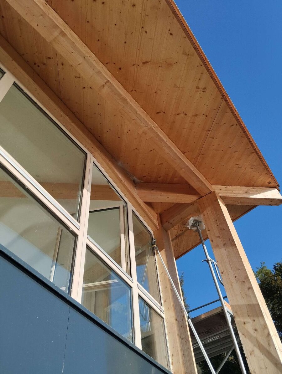 wespennest_entfernen