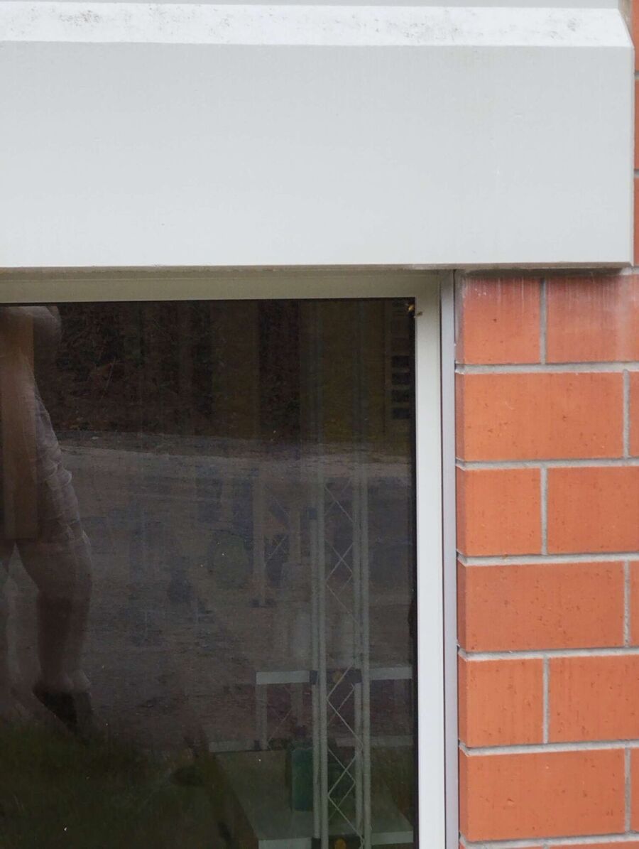 wespennest_entfernen