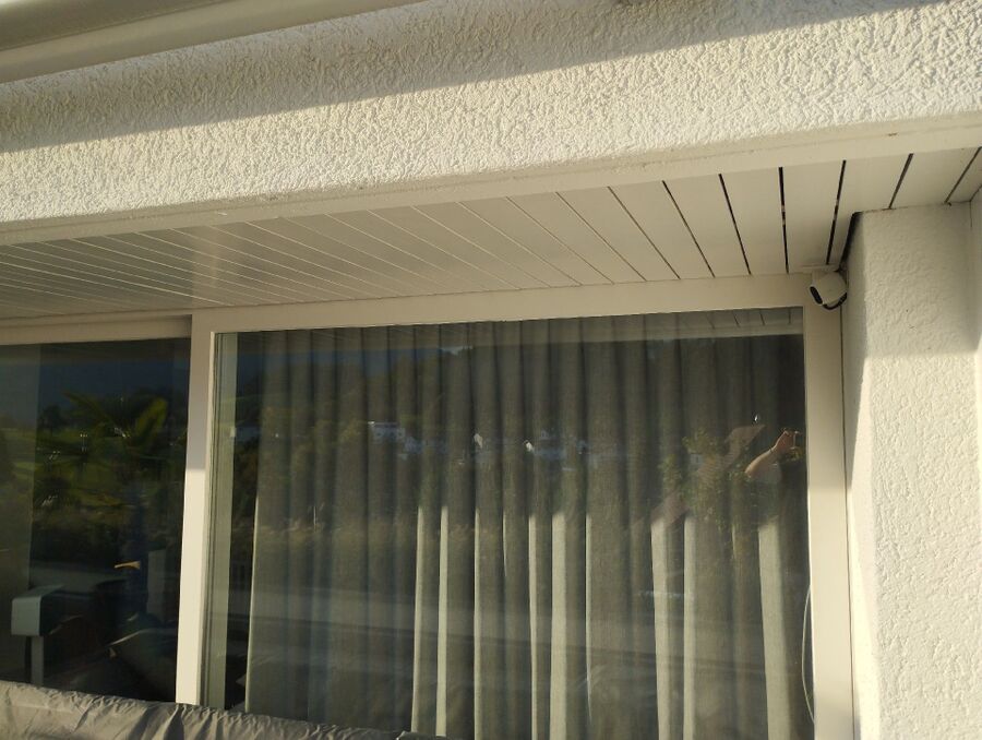 wespennest_entfernen