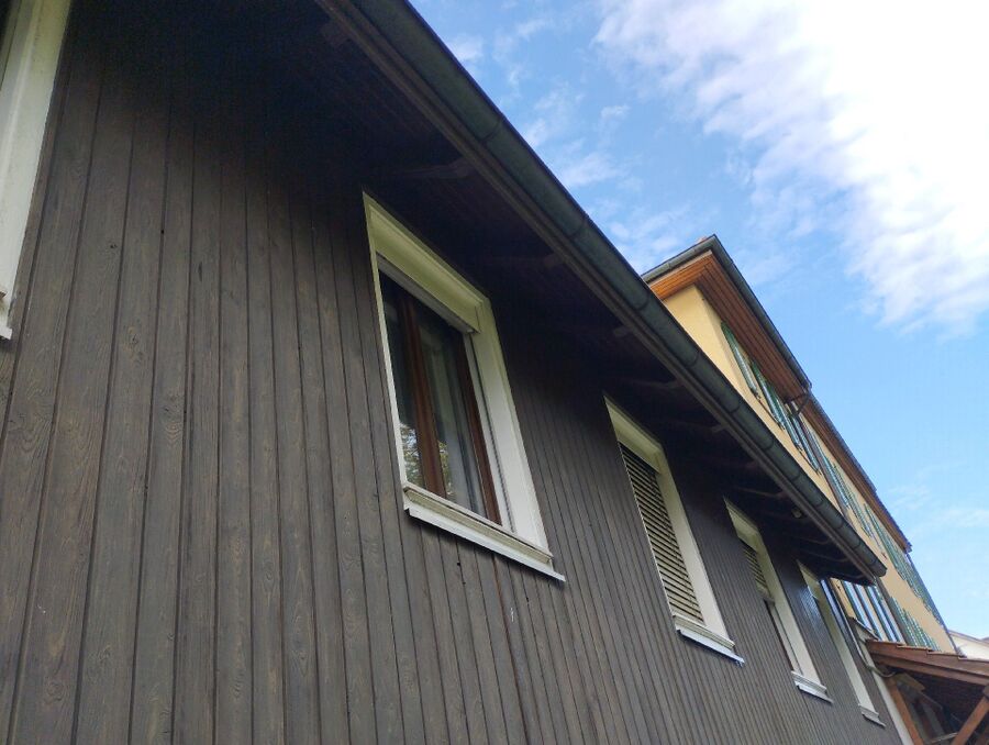 wespennest_entfernen