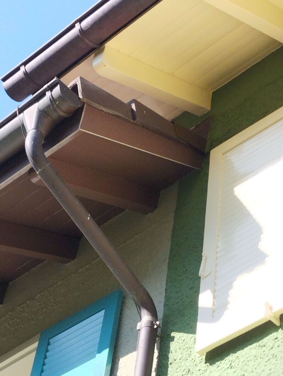 wespennest_entfernen