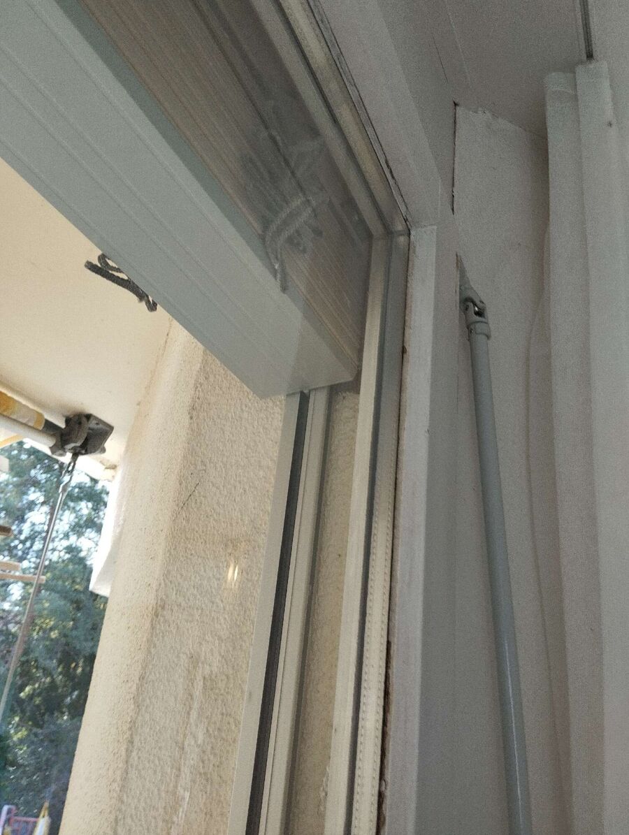 wespennest_entfernen