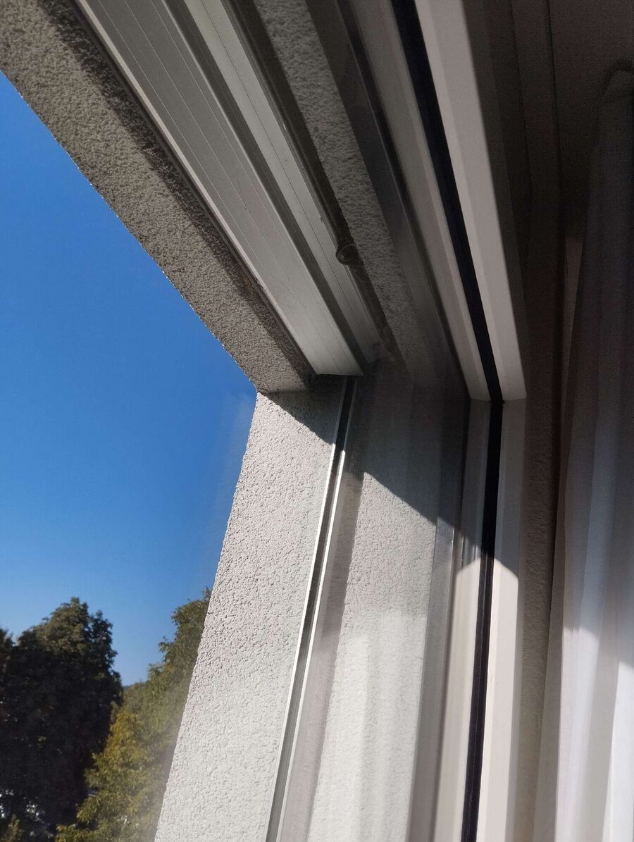 wespennest_entfernen