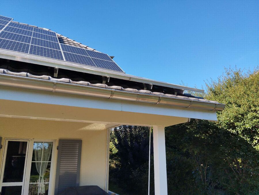 wespennest_entfernen