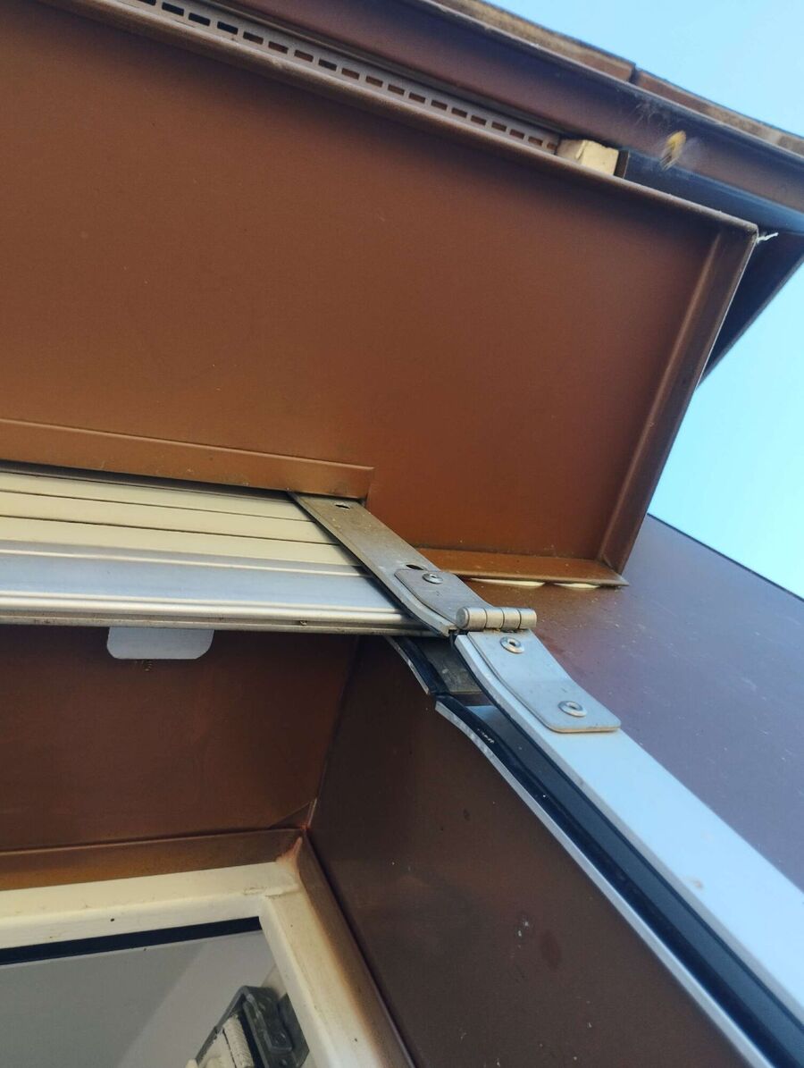 wespennest_entfernen