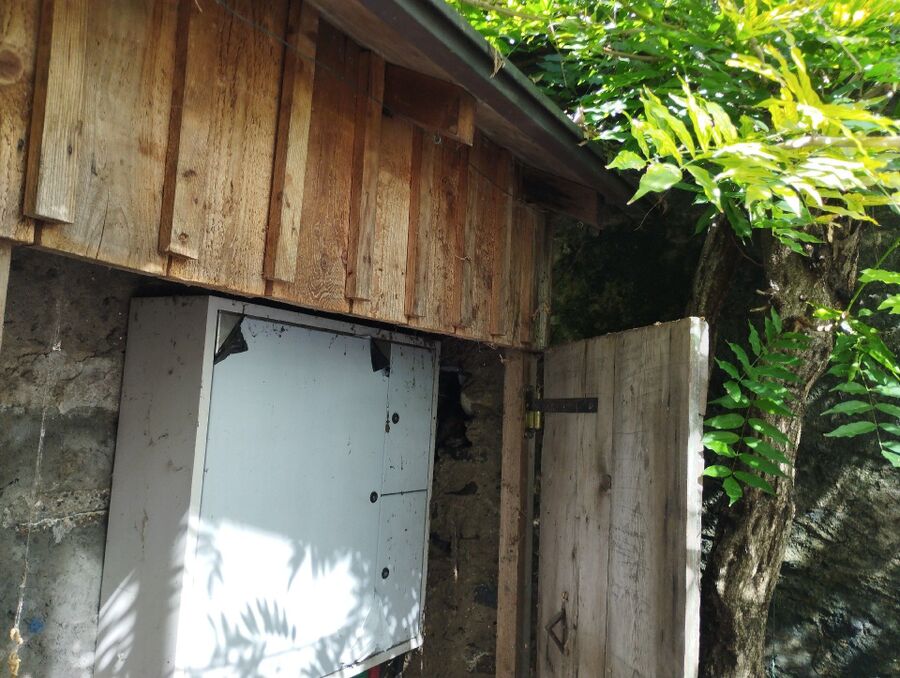 wespennest_entfernen