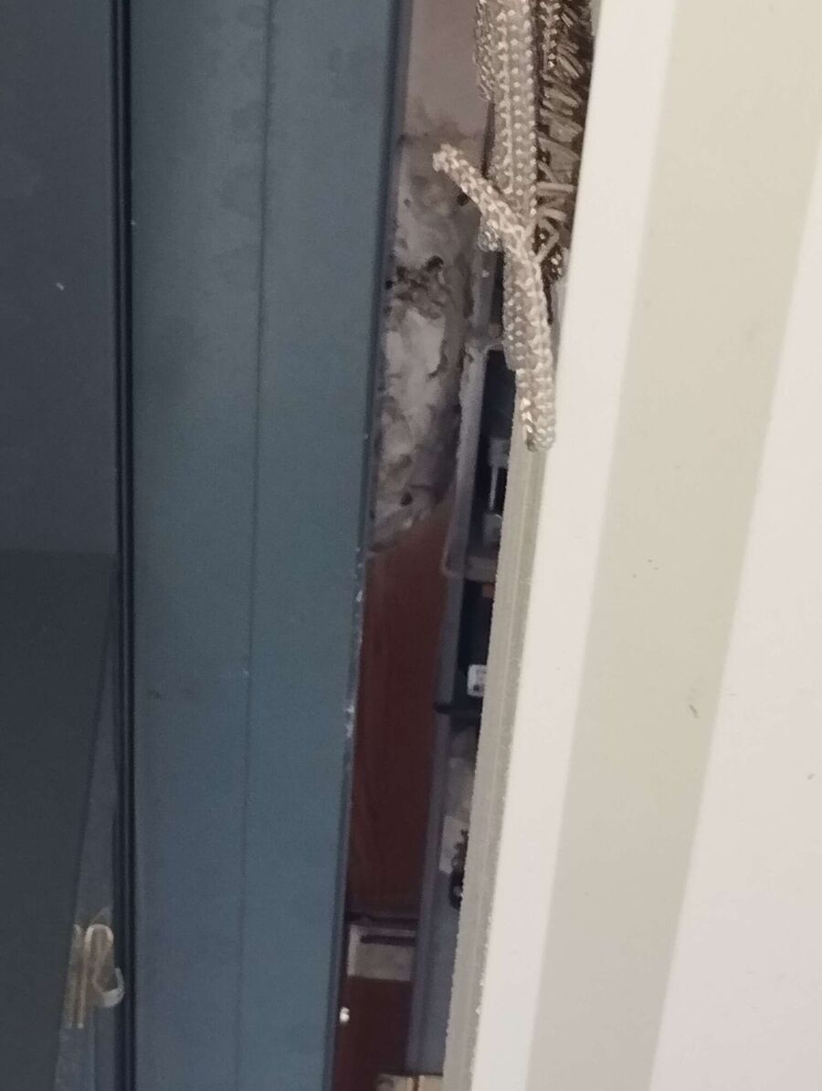 wespennest_entfernen