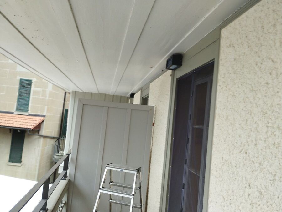 wespennest_entfernen