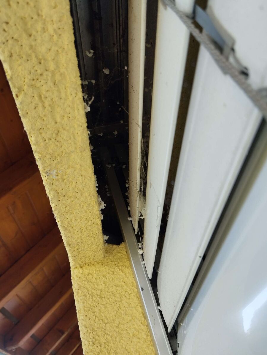 wespennest_entfernen