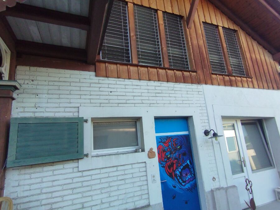 wespennest_entfernen