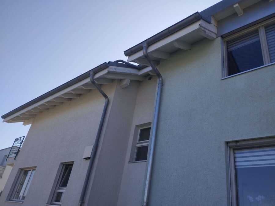 wespennest_entfernen