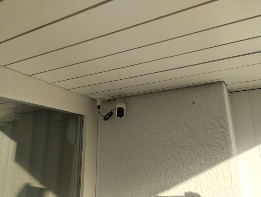 wespennest_entfernen