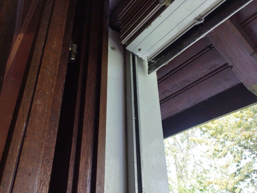 wespennest_entfernen