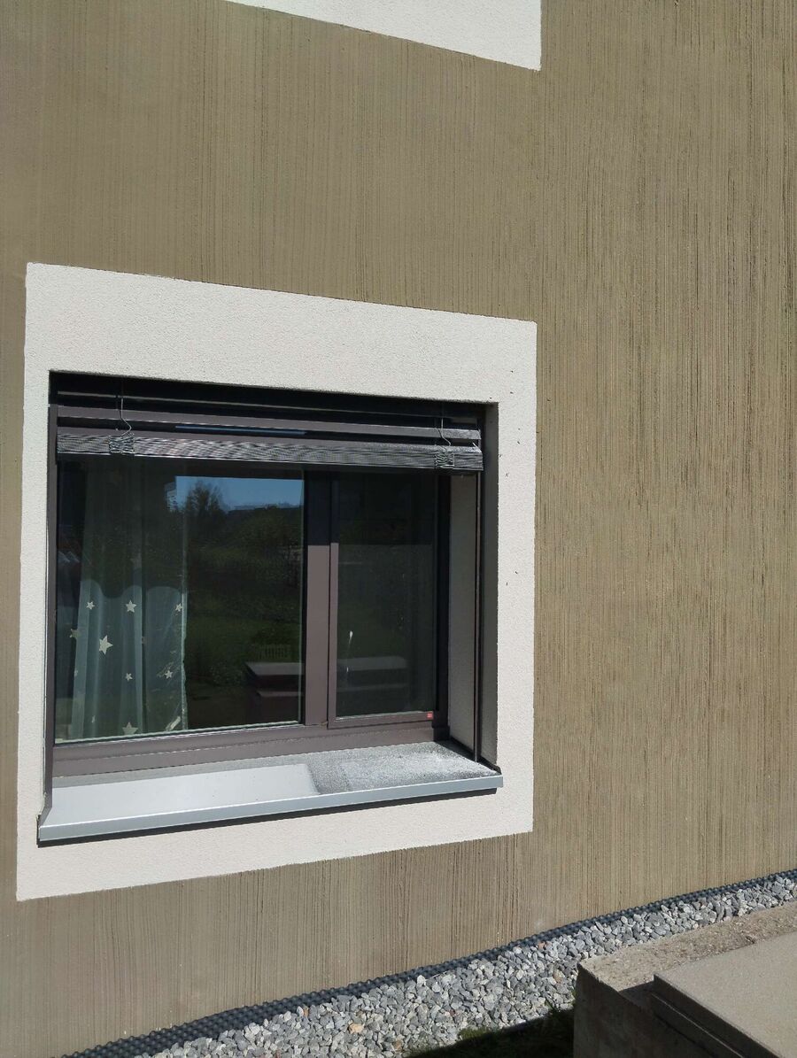 wespennest_entfernen