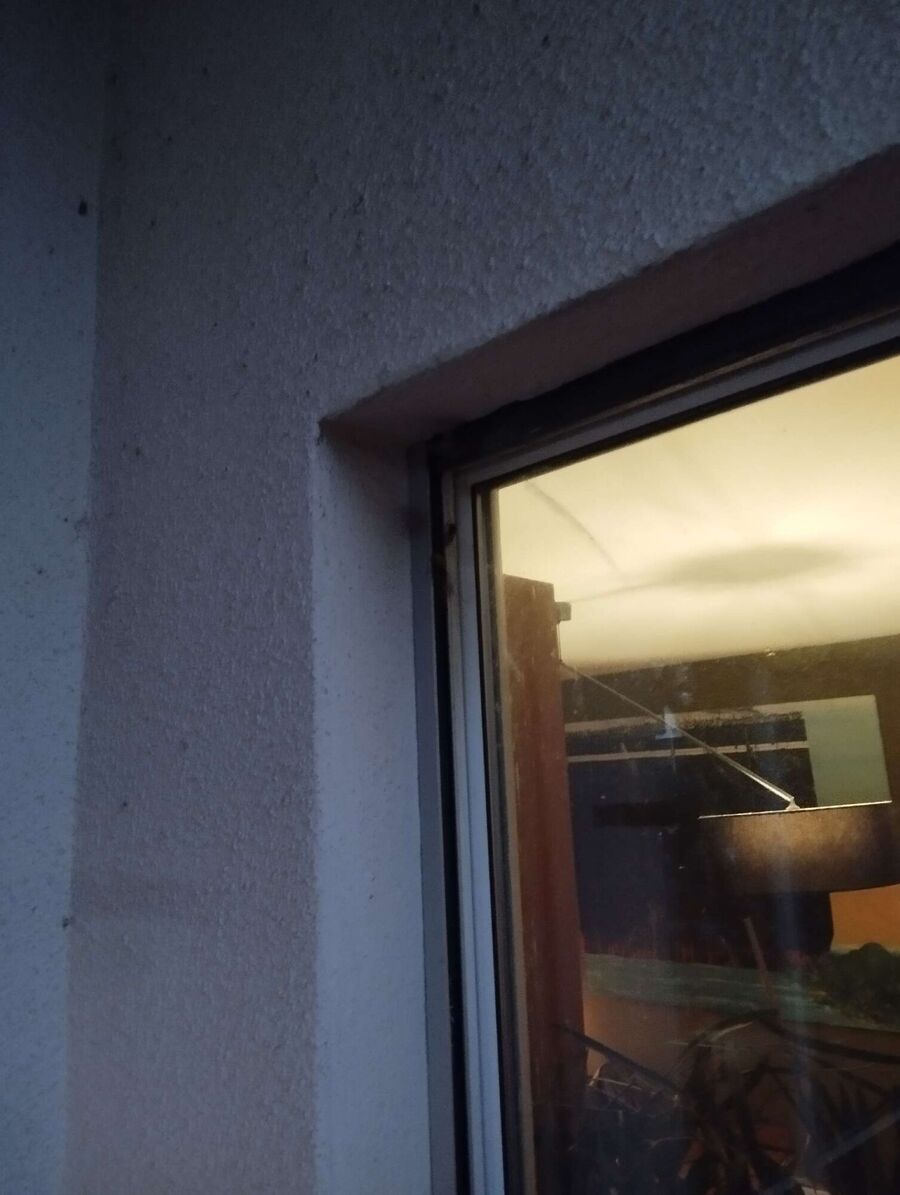 wespennest_entfernen