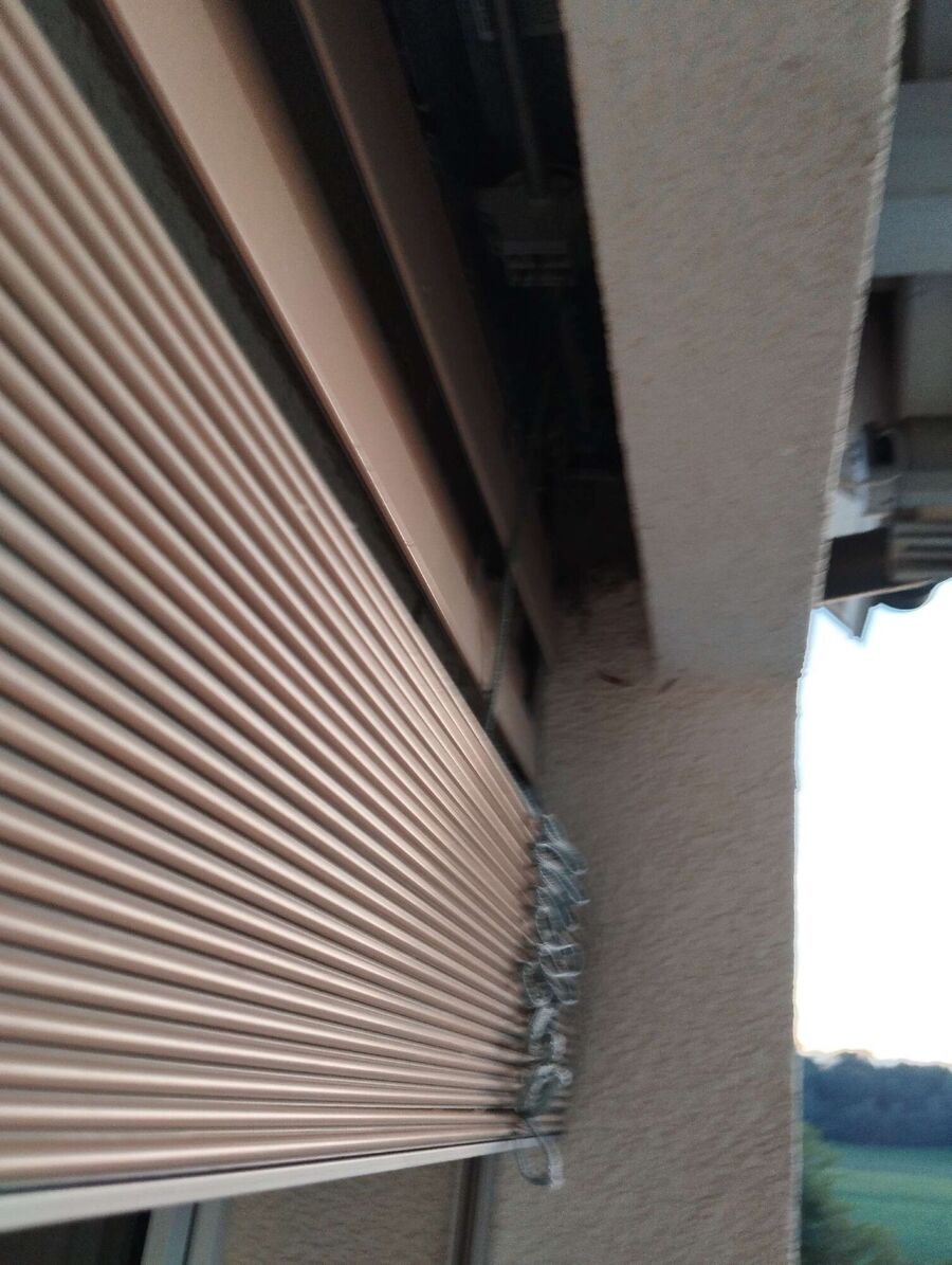 wespennest_entfernen