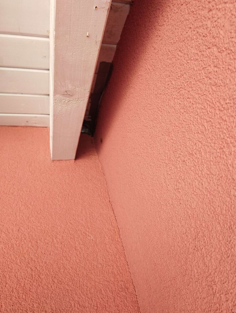 wespennest_entfernen