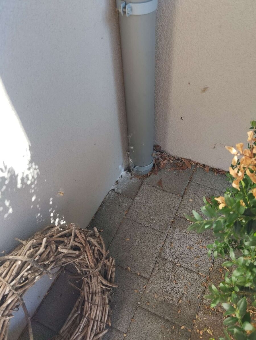 wespennest_entfernen